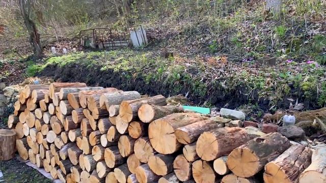 ОПОРЫ ДЛЯ РОЗ. КРУПНОЛИСТНАЯ ГОРТЕНЗИЯ. НОВЫЙ РОЗАРИЙ. смотреть онлайн