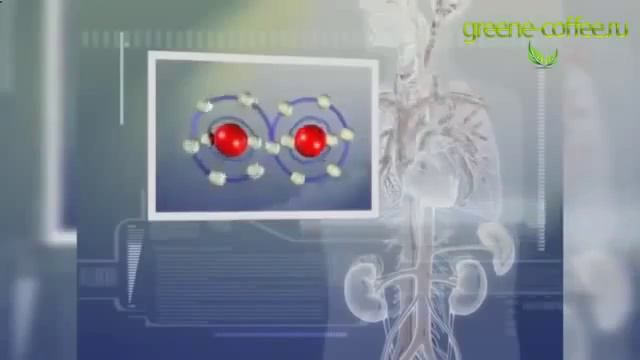 Купить зеленый кофе для похудения смотреть онлайн