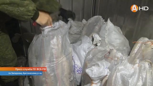 Экипаж НИС «Михаил Сомов» уличили в браконьерстве HD720 смотреть онлайн