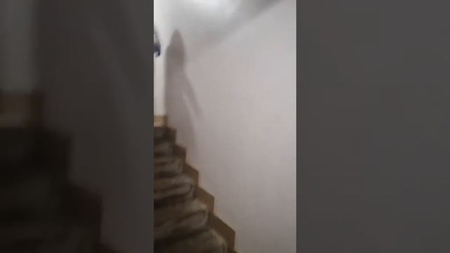 Как проходят обсервацию в России смотреть онлайн