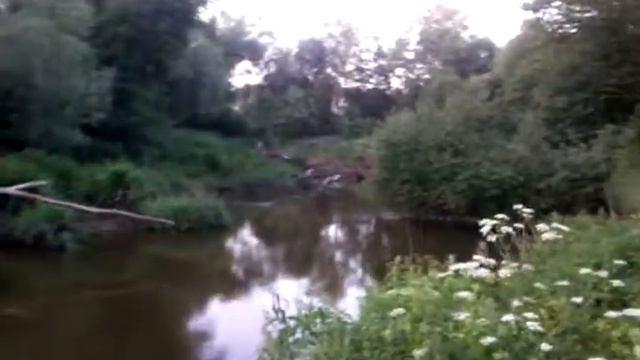 Речка Лопасня рядом с снт солнечное смотреть онлайн