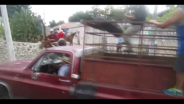 Se ESCAPA EL TORO de la corrida en Cenotillo Yuc/Encaste Bravo Yucatan смотреть онлайн