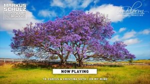 Markus Schulz - In Bloom 2023 (Vocal Trance Mix)
