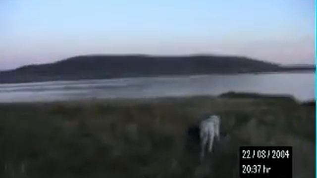 GULP nigel walker artist living on a remote island middle of North Sea смотреть онлайн