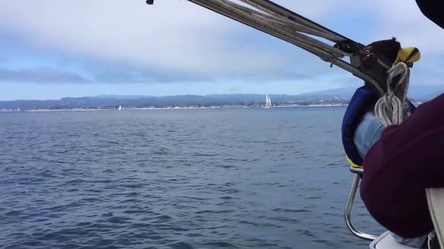 Sailing Home With Dolphins On Rosa Nautica смотреть онлайн