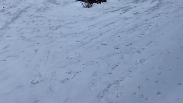 В деревне в глубинке России, пока ростелеком приедет, сами сделали интернет смотреть онлайн