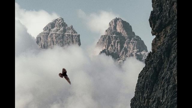 Work Music / Музыка для работы