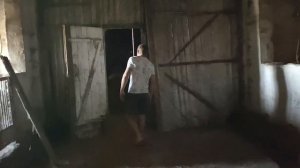 Свиньи как бизнес проект. Восстанавливаем старый свинарник и запускаем свиноферму.