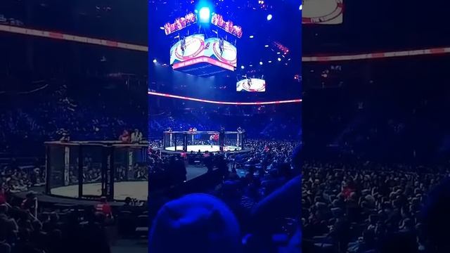 FIGHT NIGHT GLOBAL 85 Москва смотреть онлайн