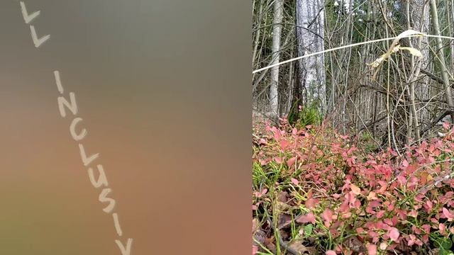 Водный туризм смотреть онлайн