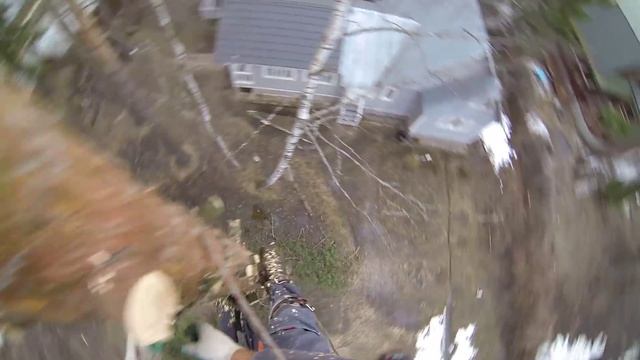 Грачи не прилетели...(((