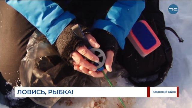 Ловись, рыбка! смотреть онлайн