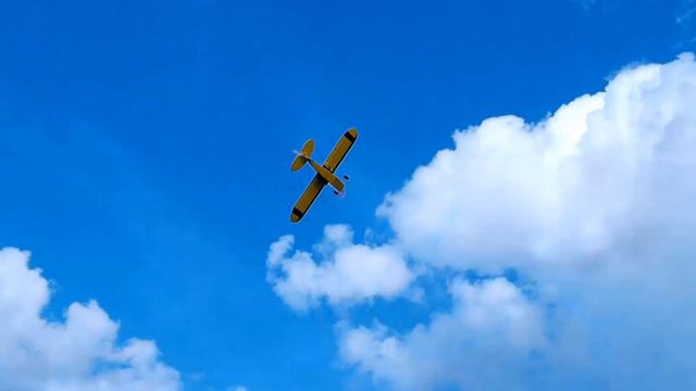 Piper J3 950-3 / Сравнение мощной и легкой версии / ALNADO