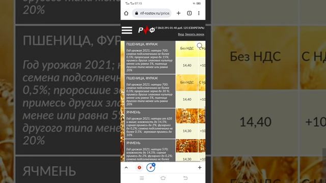 ШОКИРУЮЩИЕ ЦЕНЫ на ячмень, пшеница, кукуруза, подсолнечник, масло смотреть онлайн