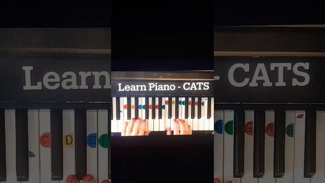 LEARN Piano - CATS 🎵🎹 смотреть онлайн