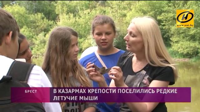 Редкие летучие мыши поселились в казармах Брестской крепости смотреть онлайн