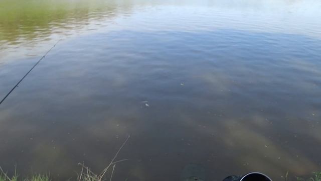 Брат отвез на озеро где карась клюет как из пулемета.4К смотреть онлайн