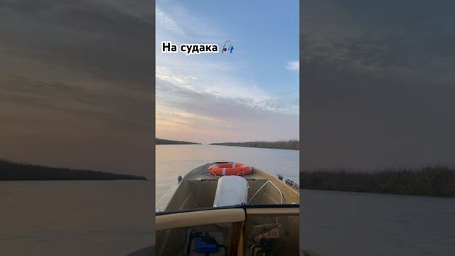 Рыбалка с лодки в Астрахани #рыбалка #астрахань #лодка #путешествия смотреть онлайн