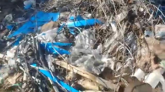 В Запорожье новая огромная свалка мусора возле авторынка смотреть онлайн