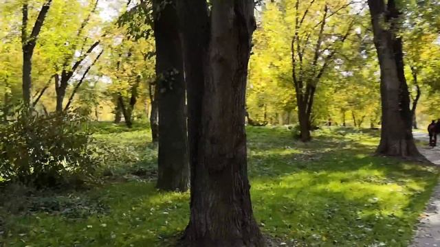 Покатушка электроклуба из Медведково до ВВЦ 07.10.18 смотреть онлайн