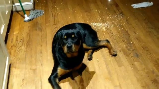 Mitch Jones - yo [VOD: May 28, 2018] смотреть онлайн