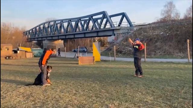Messy Czech Rea obrany 19 měsíců смотреть онлайн