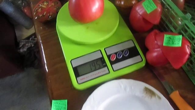 Томат Любимый праздник! смотреть онлайн