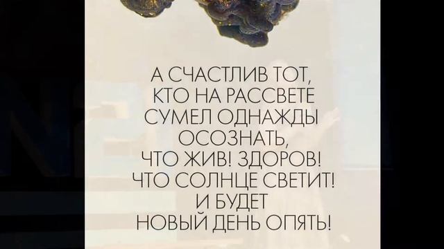 команда сухой лог Зарегистрироваться как Клиент http://www.amway.ru/user/amway_ural/invit смотреть онлайн