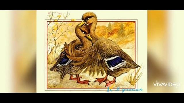 Панова Ольга о сказке "Серая шейка" Дмитрия Наркисовича Мамина-Сибиряка смотреть онлайн