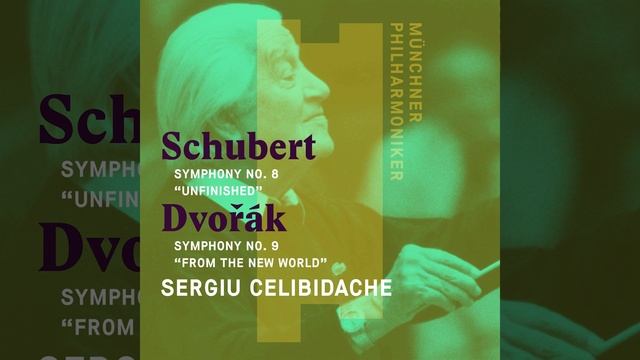 Symphony No. 8 In B Minor, D. 759, 'Unfinished': I. Allegro Moderato