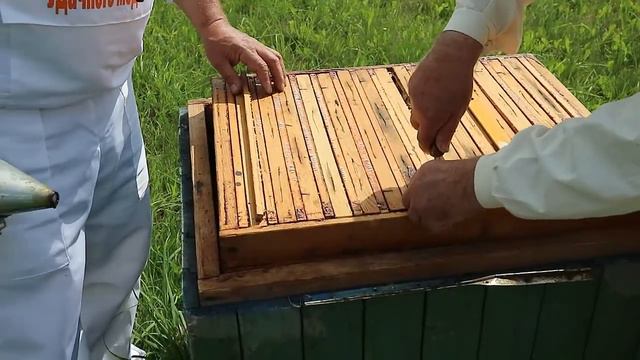 Из жизни пчеловодов| Неудачный отбор мёда|Атака пчёл смотреть онлайн
