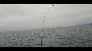 Сима - мой рекорд. Троллинг - это сказка.