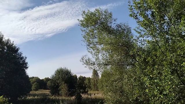 Добриня приходил и вовсе не пугал и не ругал а много умного сказал!