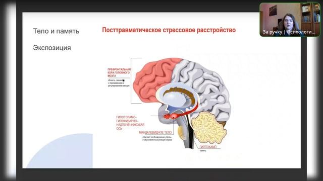 Что такое психотравма? Разбираем основные мифы. смотреть онлайн