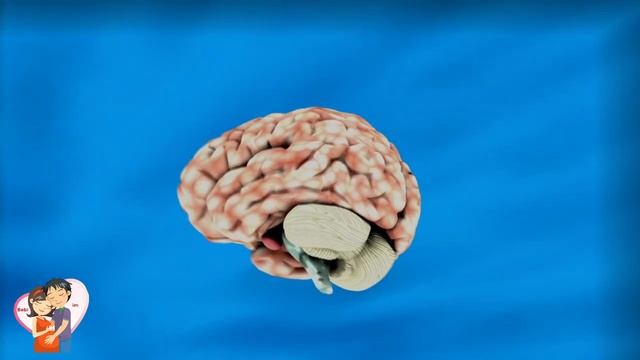 Bebi im - 30 jave shtatzene (shtatzania jave pas jave) смотреть онлайн