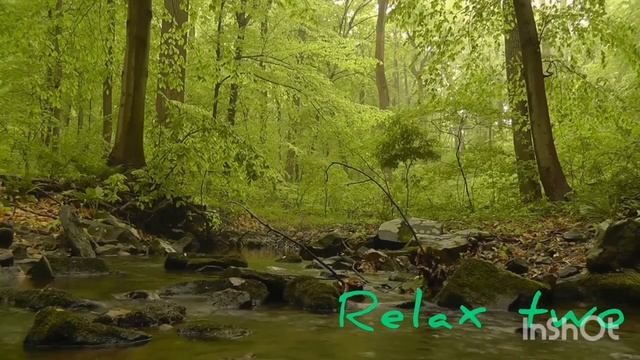 Релакс музыка. Расслабляющая музыка. Лес. смотреть онлайн
