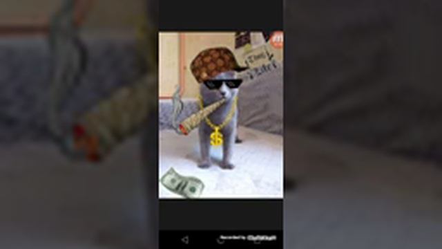 Ран Вася ран смотреть онлайн