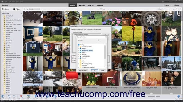 Learn How to Set Watch Folders (Windows Only) in Adobe Photoshop Elements 2022: A Training Tutorial смотреть онлайн