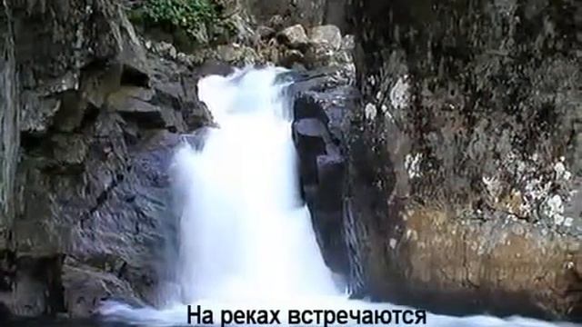 videoplayback смотреть онлайн