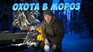 САРАЙ  В ТАЙГЕ ЭТО ХОРОШО. ТУТ КУНИЦУ НЕ СТРЕЛЯЙ, ТАМ СТРЕЛЯЙ. ХОДОВАЯ ОХОТА.