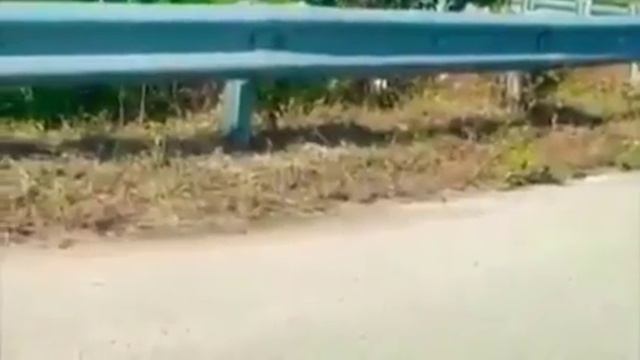 Мама спасает малыша 😲😲😲