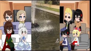 ~Реакция ПВЛ + Романовых на Москву 2/?~