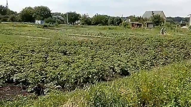 Продам участок 5соток г.Житомир 6900$ смотреть онлайн