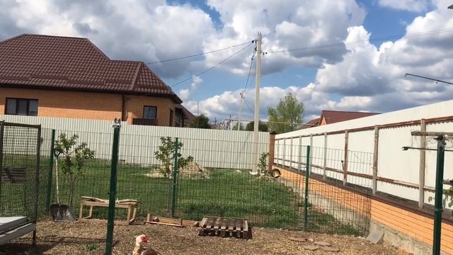 Обзор гнёзд у индоуток (кладки) и завершение инкубации яиц !