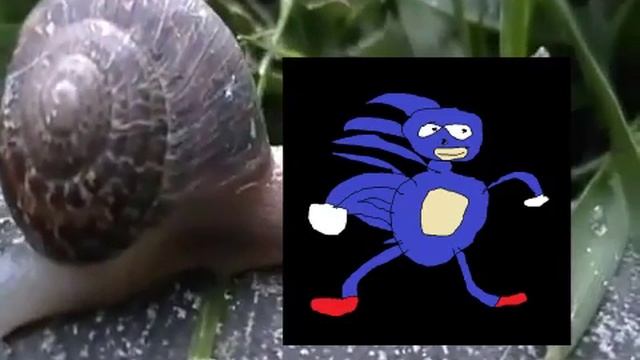 Brave Snail Explorer смотреть онлайн