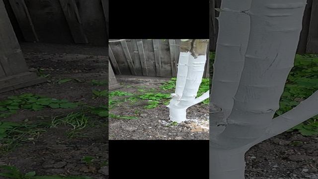 Выкопать, вырубить! Или дать шанс выжить! смотреть онлайн