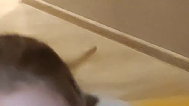 НОЧЁВКА У ЛП ❤️ СОШЛИ С УМА ✊? ВЫЗЫВАЙТЕ ДУРКУ ? смотреть онлайн