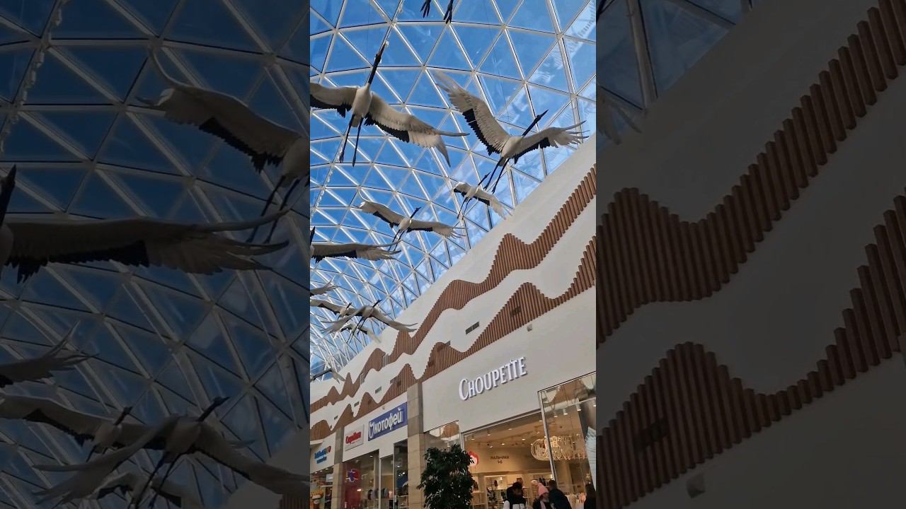 Кратко о нашей поездке во Владивосток))#песковыпутешествуют#владивосток2023 смотреть онлайн