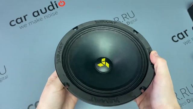 Среднечастотные динамики Swat MAS-80Pro смотреть онлайн