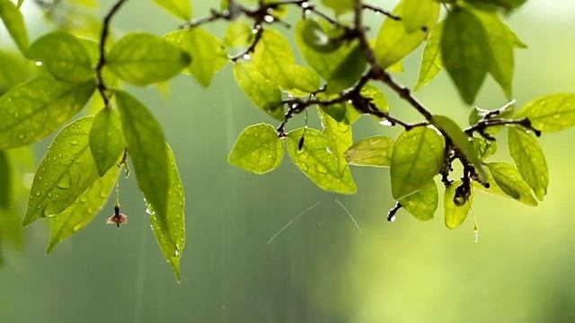 The Best Healing And Relaxing Music. Лучшая целебная и расслабляющая музыка.